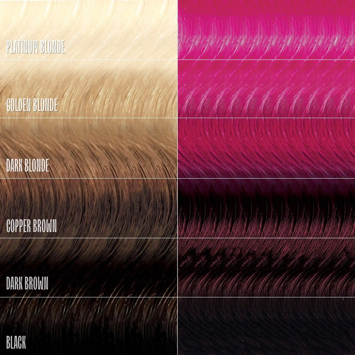 Magenta Majesty Healthy Color Duo