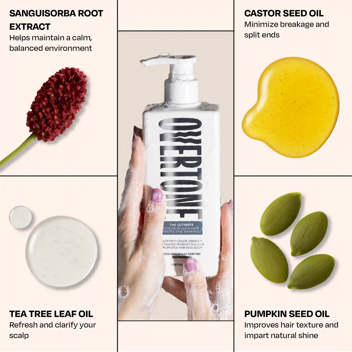 The Ultimate Color, Scalp, and Hair Protecting Shampoo